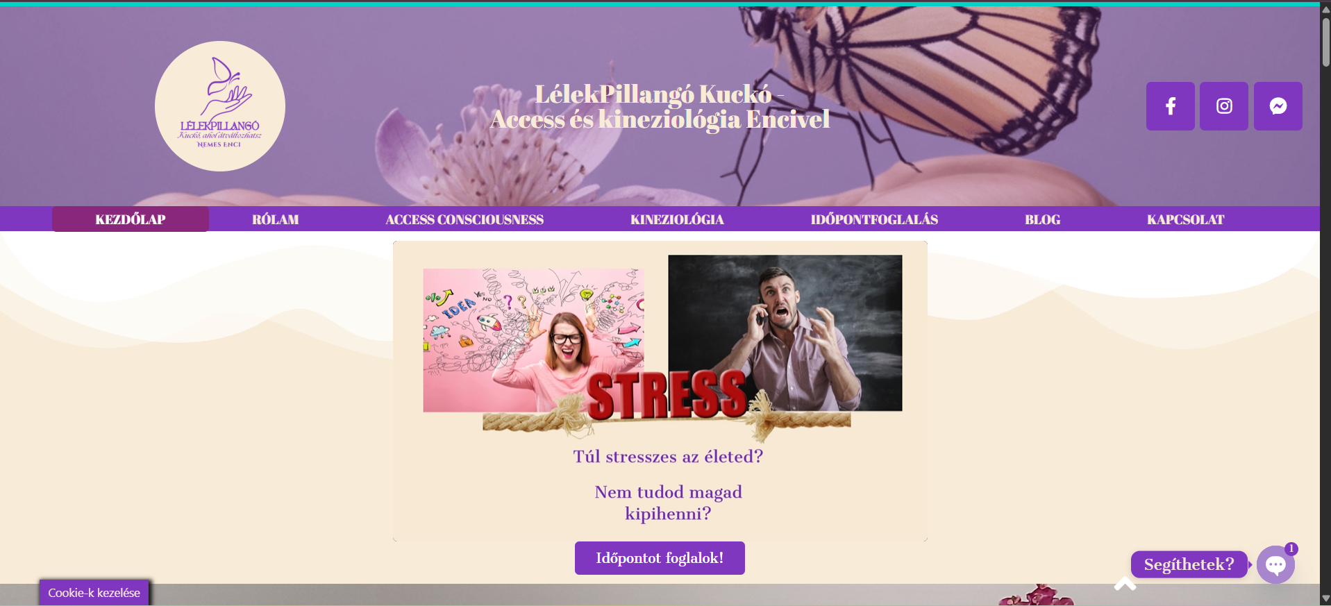 lelekpillango_kucko_weblap